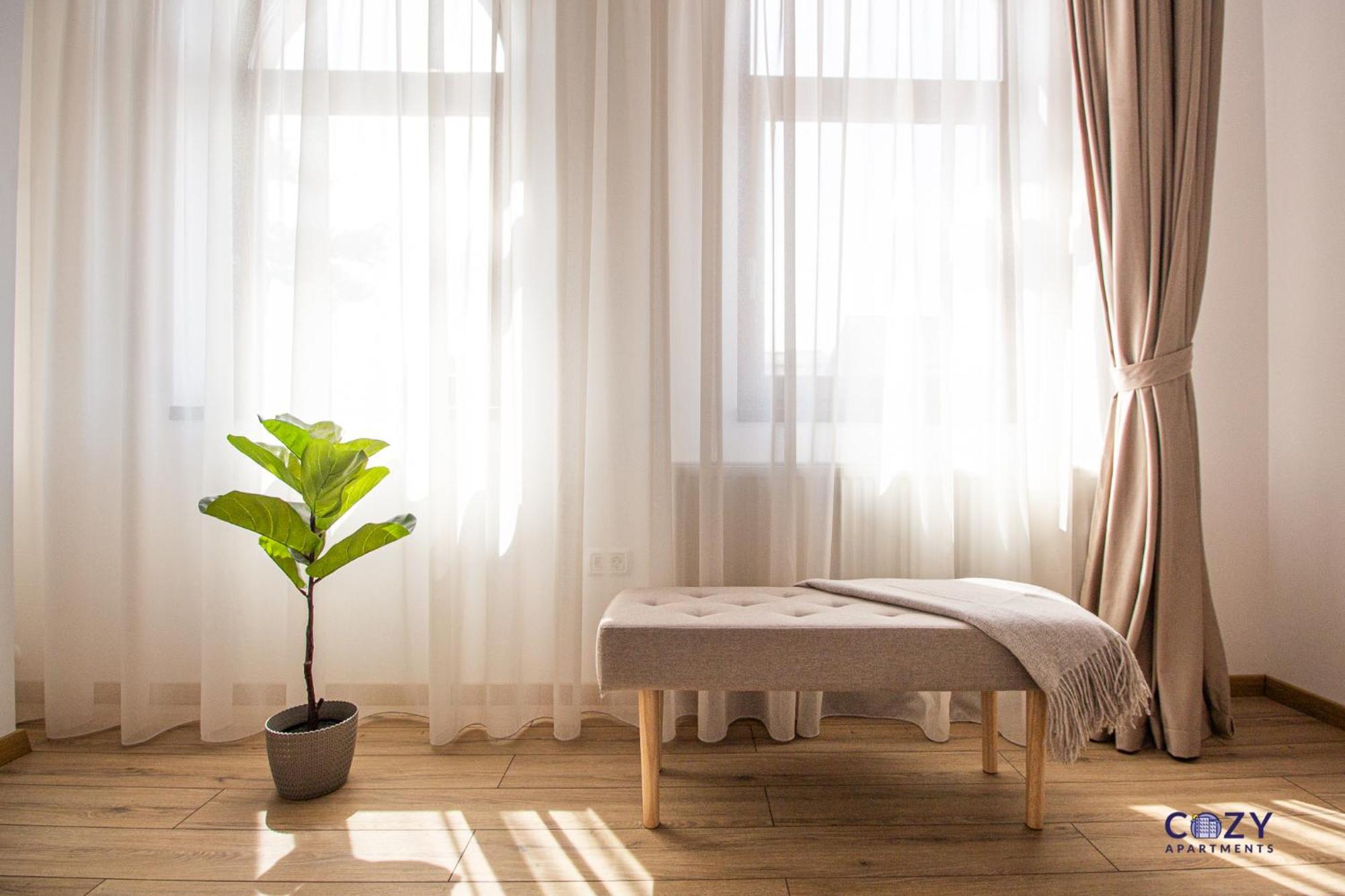 Cozy Brand New Boutique Aparthotel בראשוב מראה חיצוני תמונה