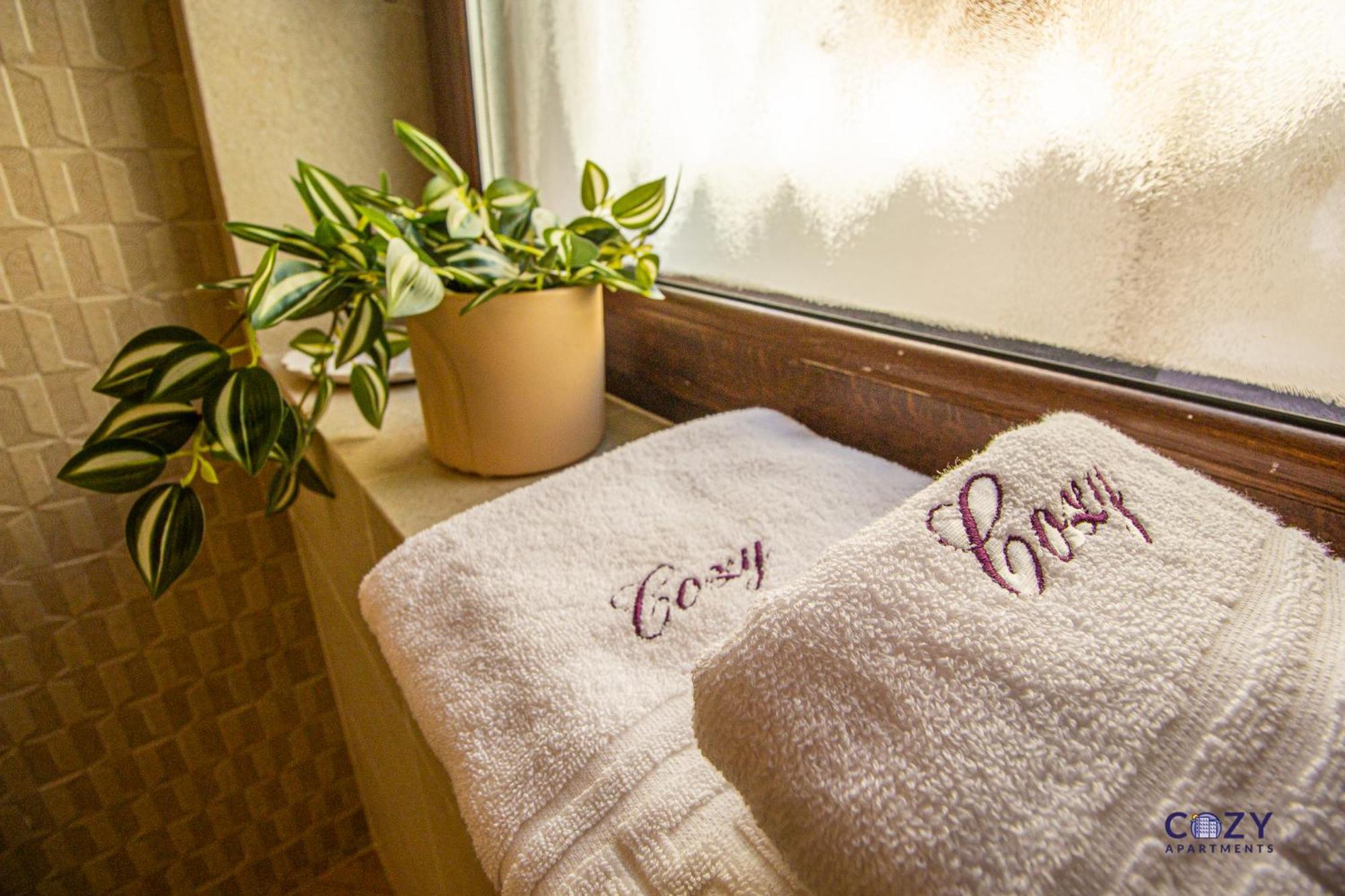 Cozy Brand New Boutique Aparthotel בראשוב מראה חיצוני תמונה